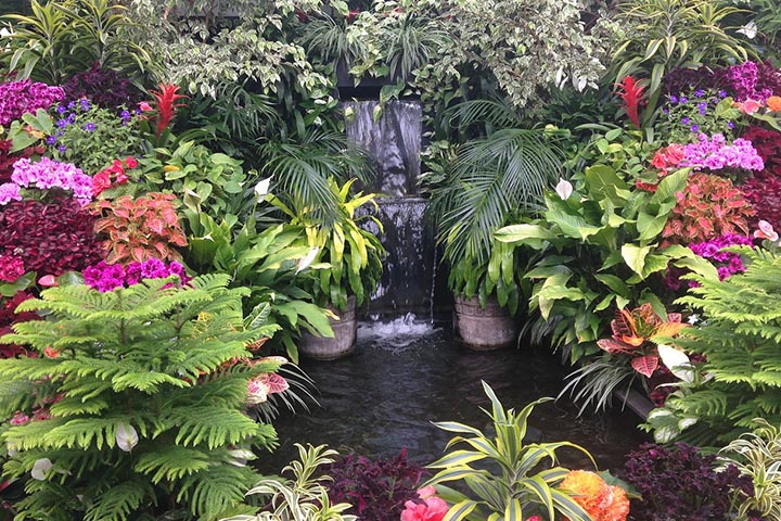 Creative Stream Planting for Your Garden Pond Oasis